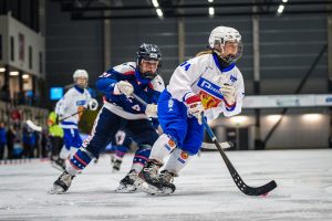 bandy kuvituskuva 1