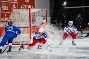 sofialuosalo sataedu 01633